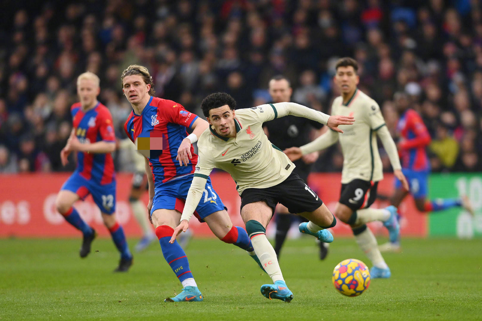 此前职务 此前职务